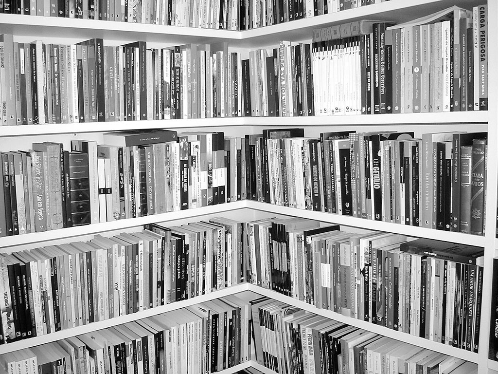 bibliotecas2