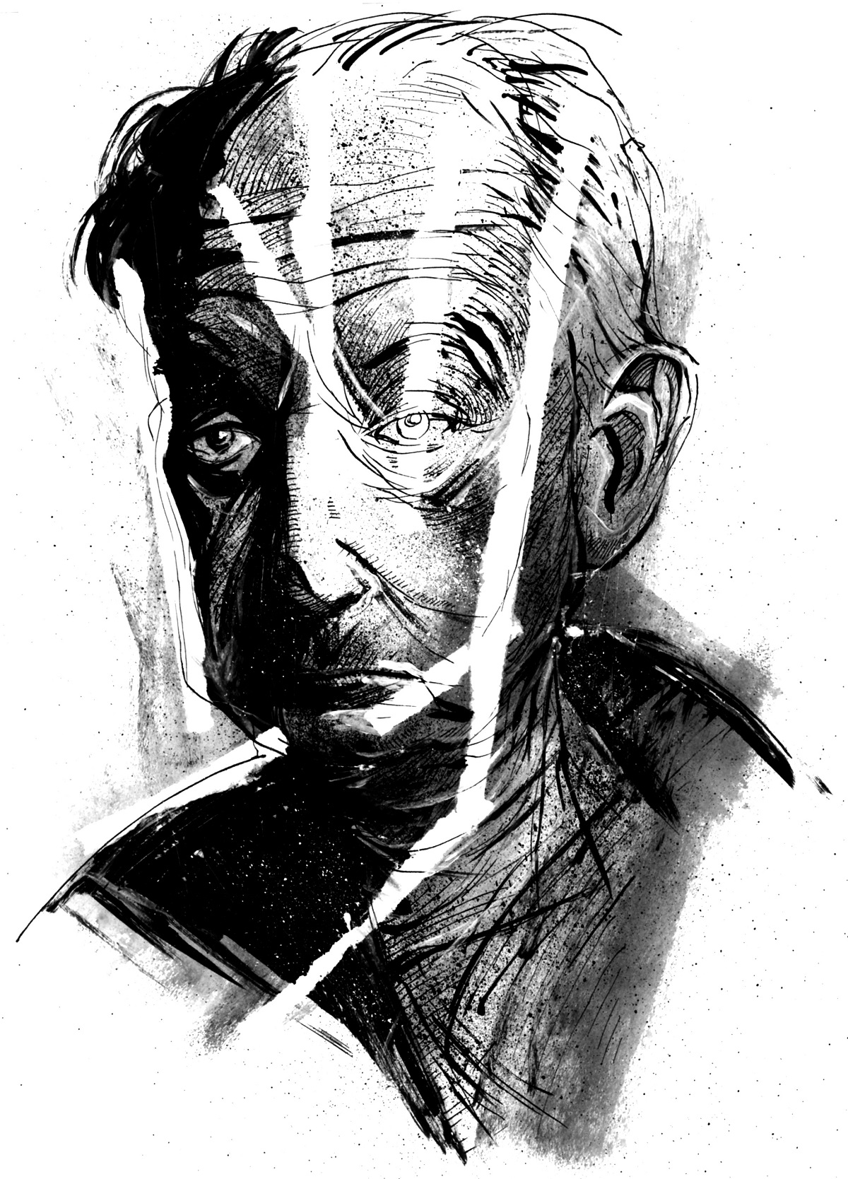 Ilustração: Vladimir Nabokov por Robson Vilalba