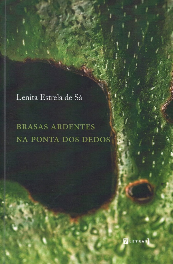 Brasas_ardentes_Lenita_Estrela_231