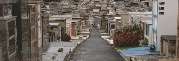 Rogerio_Pereira_foto_238