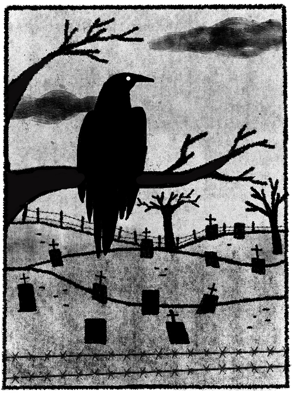 Ilustração: Bruno Schier